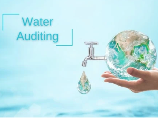 Water Audit